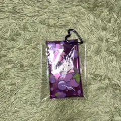 ダイソー センチメンタルサーカス カラビナ付きクリアポーチ