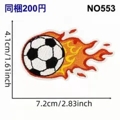 Item thumbnail for item d01764b6-9ab5-48d0-becc-ec083f403478