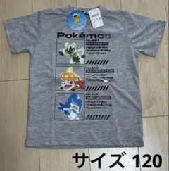 ポケモン Tシャツ サイズ120 グレー 半袖 ポケットモンスター