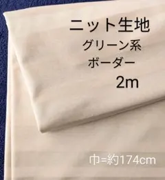 ニット生地◆2m◆ボーダー柄グリーン系