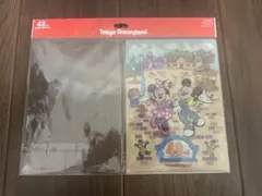 東京ディズニーランド 43周年 クリアホルダー