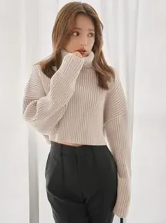 タートルネッククロップド丈ニットトップス