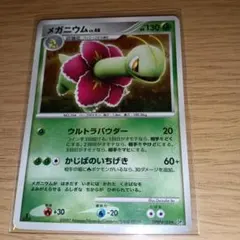 ポケモンカード メガニウム LV.48 DPBP#185