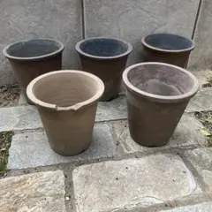 素焼き　植木鉢　5個セット　ガーデニング　鉢　プランタ　園芸　観葉植物　多肉　蘭