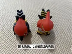 ポケモンキッズ　指人形　ヒノヤコマ、ファイアロー　セット　匿名発送