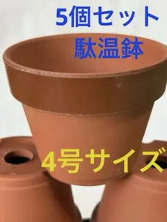 【駄温鉢　12号】①盆栽鉢　植木鉢　約50年前　素焼き　落款　洗浄済 駄温鉢のおすすめ人気商品一覧 通販 - Yahoo!ショッピング