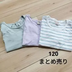 小学生　女の子　Tシャツ　120 まとめ売り　petit main