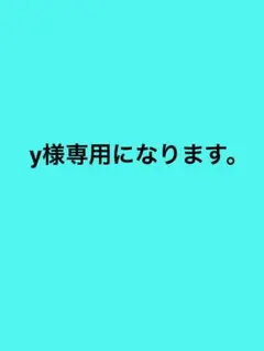 y様 リクエスト 2点 まとめ商品