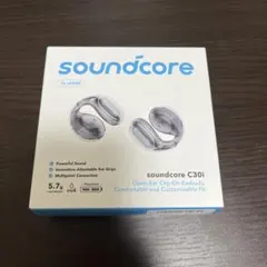 Anker soundcore C30i ワイヤレスイヤホン　クリアブラック