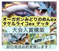 りん様専用　　タケルライコexデッキ