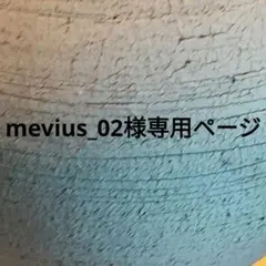 mevius_02様専用ページ