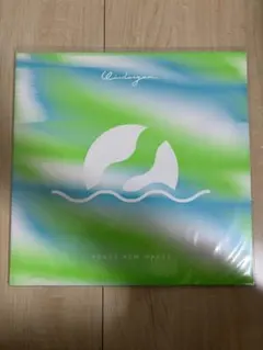 yogee new waves 『windorgan』レコード　LP