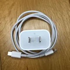 Apple純正　Lightningケーブルと18W 充電アダプタセット