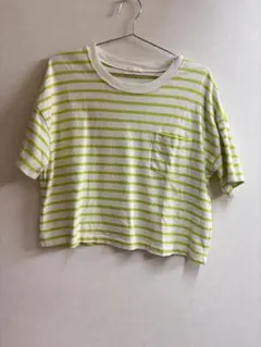 ボーダーTシャツ GU 緑