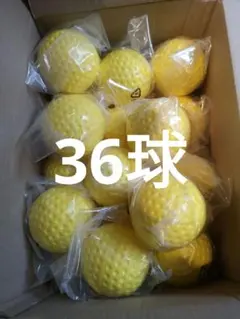 Item thumbnail for item 6e6bd01a-4400-4a3a-91b6-ab0d8367667f