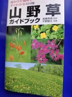 Item thumbnail for item 19a748eb-db24-4e85-ac4a-d136d39062d0