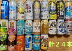48本】晴れ風 マルエフ 350 500 ビール まとめ売り キリン アサヒ
