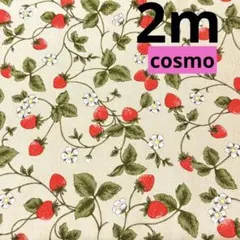 cosmo★5枚限り★オックス★ストロベリータイム★ベージュ★