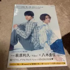 TVドラマ&劇場版 美しい彼 公式ビジュアルブック 萩原利久 八木勇征