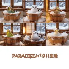 PARADISEパネル生地　 インコ柄　シマエナガ柄