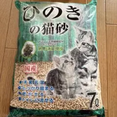 Item thumbnail for item b3087d70-d772-4596-9b17-3a5bfb079057