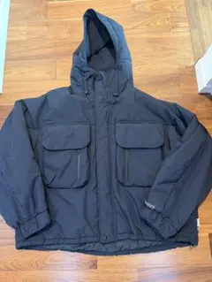 clesste +phenix GORE-TEX ダウンジャケット　サイズ2のサムネイル