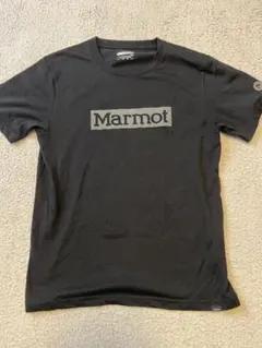 値下げ！Marmot 黒 Tシャツ ロゴ入りのサムネイル
