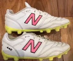 Item thumbnail for item 61738e35-3373-490c-80d7-6d44cbf068c2