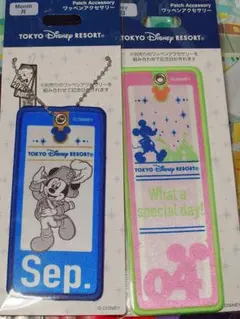 【最終価格】ディズニーリゾート　ワッペン　アクセサリー ディズニーシー　9/4