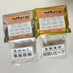 ハイキュー!! トレーディング名札クリップ 黒尾鉄朗 灰羽リエーフ