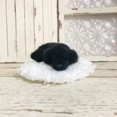 トイプードル＊お迎えまだかなぁ＊毛糸　羊毛フェルト　犬　ぬいぐるみ　ミニチュアのサムネイル
