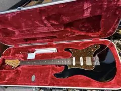 2025年最新】ibanez ハードケースの人気アイテム - メルカリ