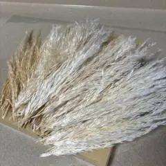 Dried.Art様 リクエスト 3点 まとめ商品