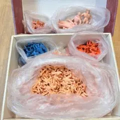 キン消し　コンプリート　BOX & キン消し
