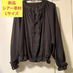 Ray Cassin 長袖 シアーブラウス ブラック Fサイズ　レイカズン　夏物のサムネイル