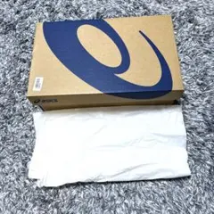 Item thumbnail for item ac68b5af-2cc3-415a-bed4-16b83b54b8fd