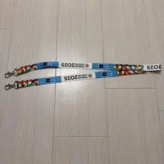 東京マラソン2026 ネックストラップ 新品未開封 - メルカリ