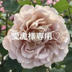 愛虎7162様 リクエスト 2点 まとめ商品