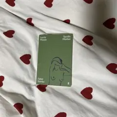 Lorrie Moore Terrific Mother