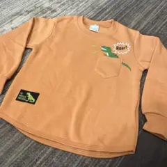 15.裏起毛トレーナー 恐竜 ワンポイント 110