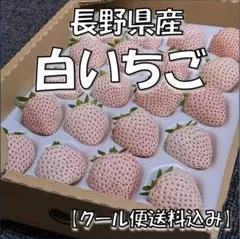 ＜8/8（土）発送＞ 白いちご 約600g ★クール便送料込★ 長野県産〉白いちご 約600g ☆クール便送料込☆ - メルカリ