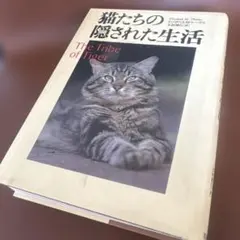 Item thumbnail for item 409fedc0-f6ba-4e08-b644-40f611e7ce1b