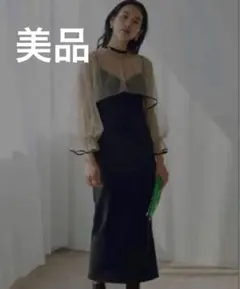 ameri vintage MANY WAY TULLE VEIL DRESS - メルカリ
