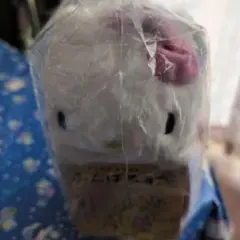 サンリオキャラクターズ✵ふんばるず✵キティ