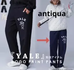 antiqua レディース ゴルフ柄パンツ スウェット