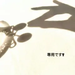 moon様　専用です❣