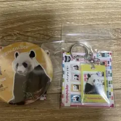 アドベンチャーワールド　パンダマドラー&アクリルキーホルダー　セット 2025年最新】アドベンチャーワールド キーホルダーの人気