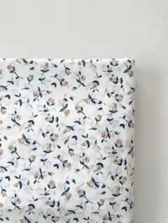 チェック&ストライプ