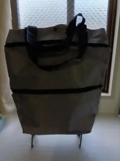 Item thumbnail for item 6d323fb0-af0f-405a-87ff-d7d4860cf261