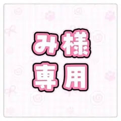 み様 専用ページ✧︎*。